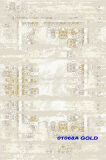 01068A A VIZION-GOLD